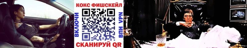 COCAIN Fish Scale  Купить  Пошехонье 