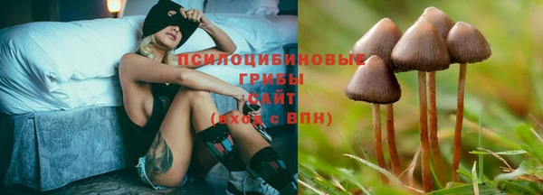 каннабис Армянск
