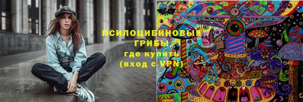амф Арсеньев