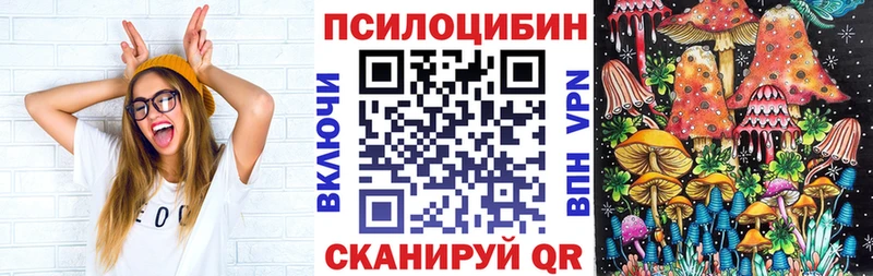 Галлюциногенные грибы ЛСД  Купить где  Пошехонье 